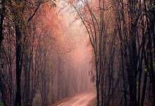 开云体育在线-绿茵场上的叹息与微光——国足亚洲杯憾负尤文图斯后的灵魂剖白