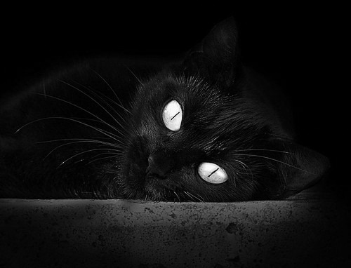 跨界之战，当NBA总决赛的战术风暴席卷广东篮球